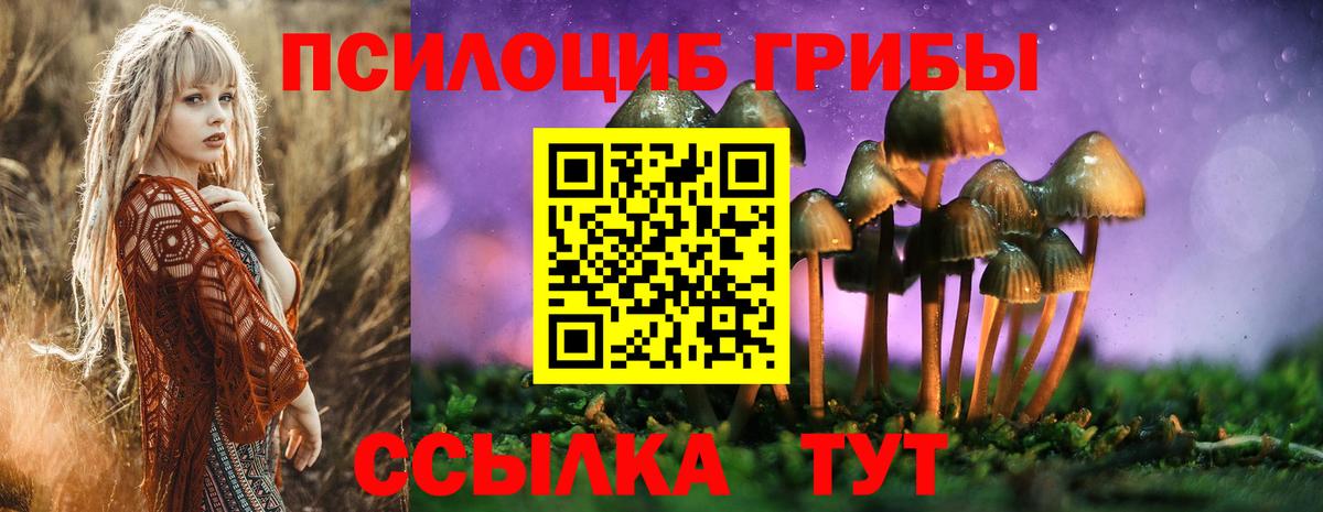 Псилоцибиновые грибы Cubensis  Псилоцибиновые грибы Psilocybine cubensis  Вход с VPN  Трёхгорный 
